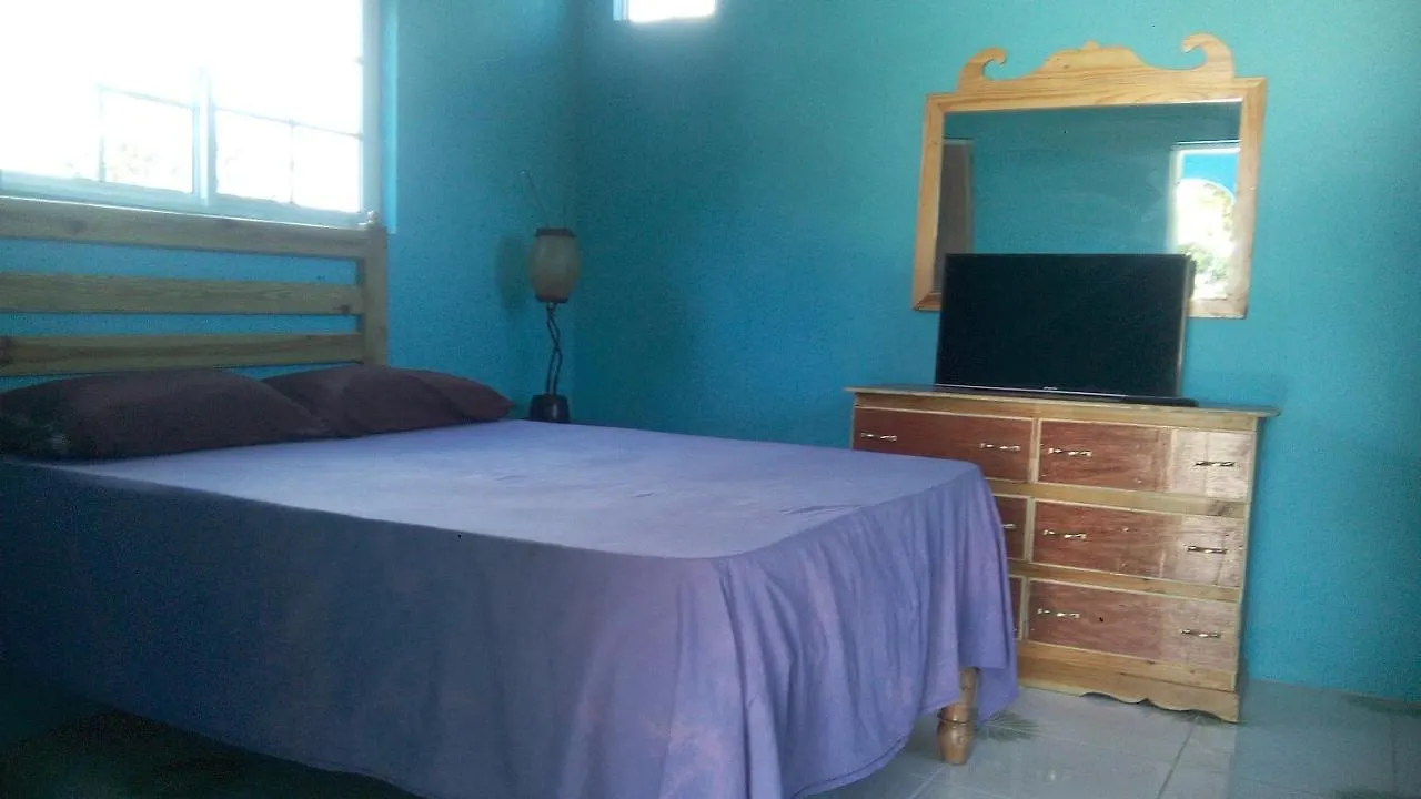 Hotel Talking Blues Hostel Kingston